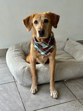 Load image into Gallery viewer, Flannel Mistletoe Bandana
