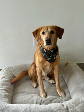 Load image into Gallery viewer, Christmas Gingerbread Delight Bandana
