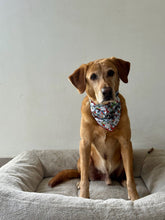 Load image into Gallery viewer, Cat Lovers Bandana
