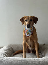 Load image into Gallery viewer, Cartoon Tweetie Bird Badnana
