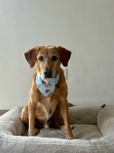 Load image into Gallery viewer, Cartoon Ocean Princess Bandana
