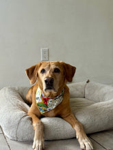 Load image into Gallery viewer, Cartoon Harry Potter
