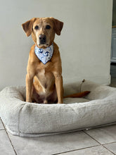 Load image into Gallery viewer, Ahoy Cutie Bandana
