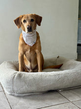 Load image into Gallery viewer, Christmas Speckle Bandana
