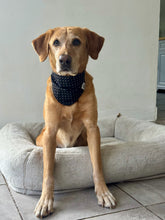 Load image into Gallery viewer, Polkadot Orhira Bandana
