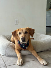 Load image into Gallery viewer, Paw Heart Bandana

