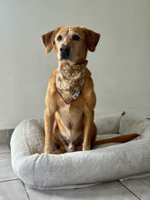 Load image into Gallery viewer, Christmas Gingerbread
