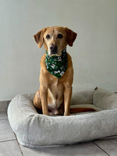 Load image into Gallery viewer, Christmas Doggy Green Bandana
