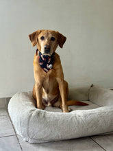 Load image into Gallery viewer, Pup In A Bun Bandana
