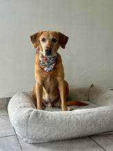 Load image into Gallery viewer, Puppy Day Care Bandana
