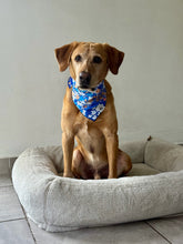 Load image into Gallery viewer, Floral Bluebell Sun Bandana
