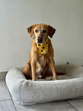 Load image into Gallery viewer, Floral Sunflower Walnut Bandana
