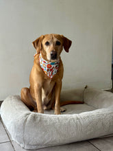 Load image into Gallery viewer, Flower Power Bandana
