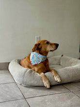 Load image into Gallery viewer, Christmas Saint Nicholas Bandana
