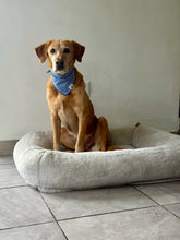 Load image into Gallery viewer, Gingham Midnight Blue Bandana
