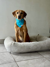 Load image into Gallery viewer, Lace Light Blue Bandana
