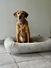 Load image into Gallery viewer, Floral 70&#39;s Bandana
