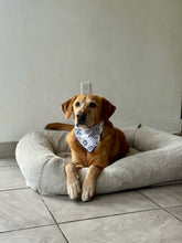 Load image into Gallery viewer, Hannukah Bandana
