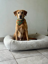 Load image into Gallery viewer, Sports Football Bandana
