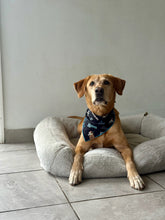 Load image into Gallery viewer, Sports What a Catch Bandana
