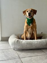 Load image into Gallery viewer, Green Chartreuse Bandana
