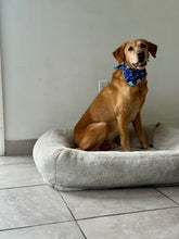 Load image into Gallery viewer, Hanukkah Cradle of Light
