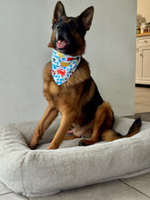 Load image into Gallery viewer, Tropical Twist Bandana
