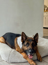 Load image into Gallery viewer, Silver Modern Bandana
