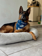 Load image into Gallery viewer, Sports Cowboys Fan Bandana
