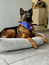 Load image into Gallery viewer, Sports Gator Game Day Bandana

