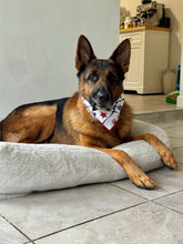 Load image into Gallery viewer, Sports Tennis Pickle Ball Bandana
