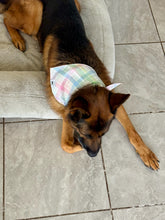 Load image into Gallery viewer, Flannel Pastel Soft Bandana
