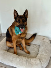 Load image into Gallery viewer, Floral Aquamarine Bandana
