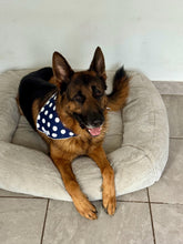 Load image into Gallery viewer, Polkadot Cobalt Bandana
