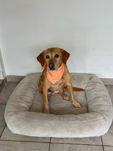 Load image into Gallery viewer, Lace peach bandana

