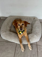 Load image into Gallery viewer, Lemonade Bandana
