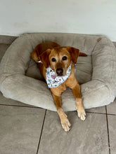 Load image into Gallery viewer, Happy Hour Bandana
