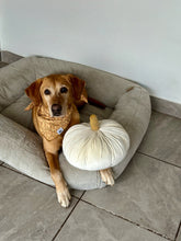 Load image into Gallery viewer, Fall Autumm Bandana
