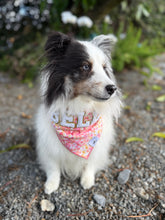 Load image into Gallery viewer, Special Orders Bandana
