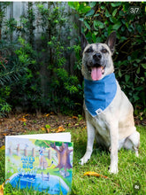 Load image into Gallery viewer, Jean Light Red Bandana
