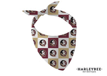 Load image into Gallery viewer, Sports Noles Bandana
