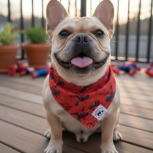 Load image into Gallery viewer, Cartoon Webbed Wonder
