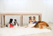 Load image into Gallery viewer, Paisley Blue Bandana
