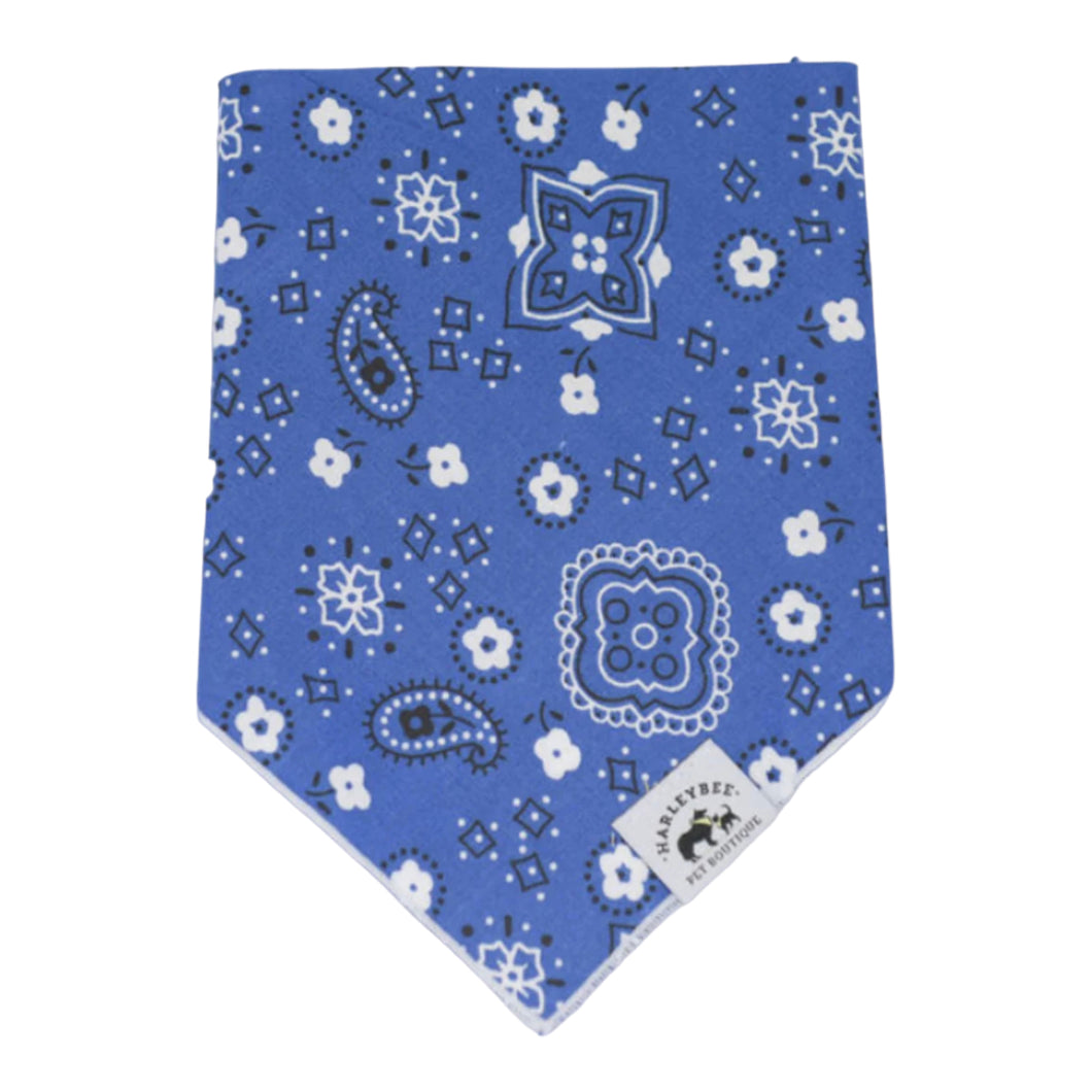 Paisley Blue Bandana