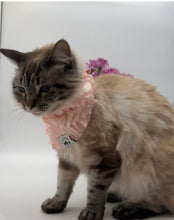 Load image into Gallery viewer, Pink Cotton Candy Bandana
