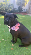 Load image into Gallery viewer, Pink &amp; Blue Gummies Lady Bow
