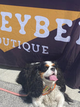 Load image into Gallery viewer, Pride Polkadot Bandana
