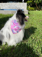 Load image into Gallery viewer, Pride Skinny Unicorn Bandana

