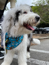 Load image into Gallery viewer, Puppy Love Bandana
