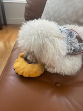Load image into Gallery viewer, Puppy Party Bandana
